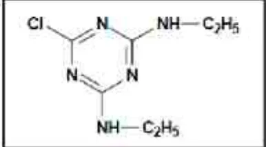 Gambar 6. Struktur Molekul Simazin