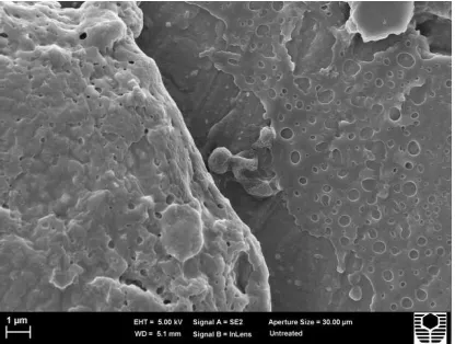 Figure 6 is a biofilm with the same type 