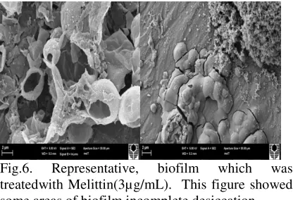 Fig.6. Representative, 