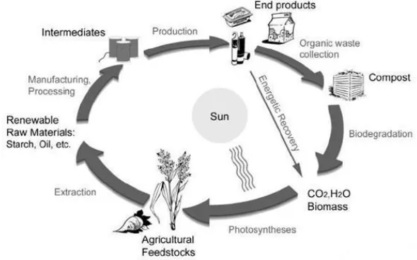 Gambar 2. Siklus Degradasi Bioplastik (IBAW Publication, 2005)