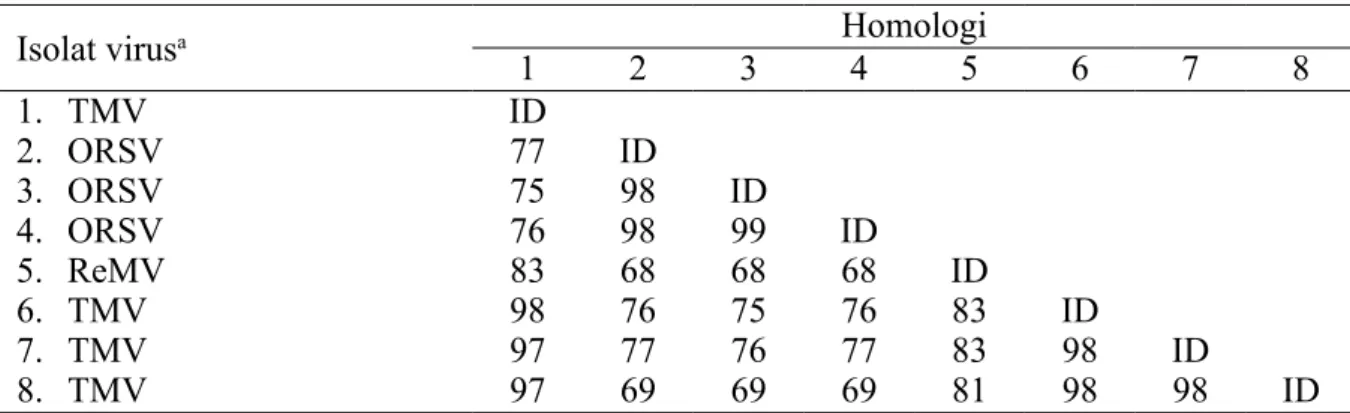 Tabel 1  Homologi sikuen nukleotida TMV yang menginfeksi tanaman anggrek di Sleman,  Yogyakarta dengan beberapa sikuen anggota Tobamovirus yang tersedia di GenBank