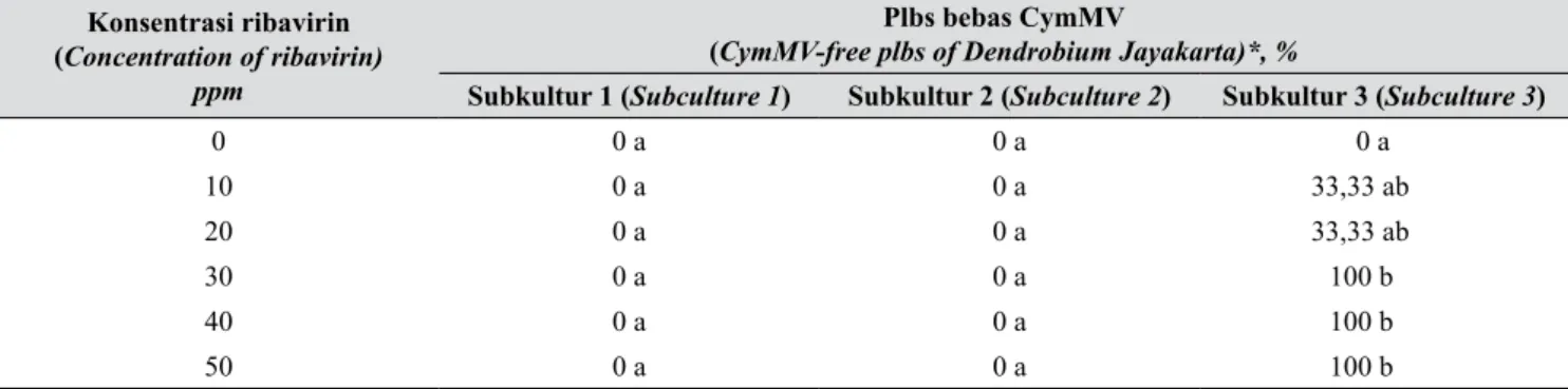 Tabel 3.  Persentase plbs Dendrobium Jayakarta bebas CymMV setelah subkultur pada media cair Vacin &amp;  Went mengandung ribavirin (Percentage of CymMV-free plbs of Dendrobium Jayakarta after sub- 
