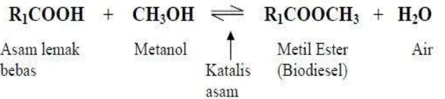 Gambar 4. Reaksi Esterifikasi Dari Asam Lemak Menjadi Metil Ester (Sumber : Destiana. M, ITB 2007) 
