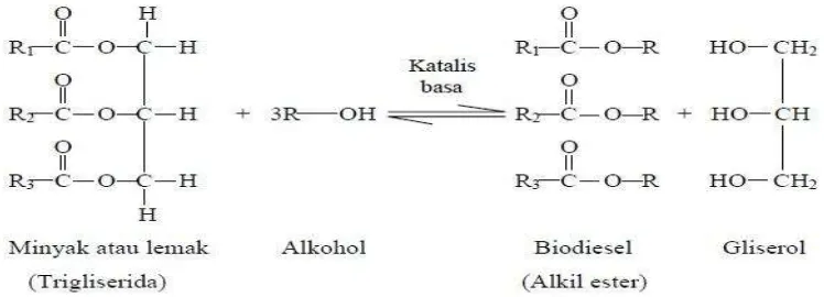 Gambar 5. Reaksi Transesterifikasi dari Trigliserida menjadi ester metil  asam – asam lemak (Sumber : Destiana