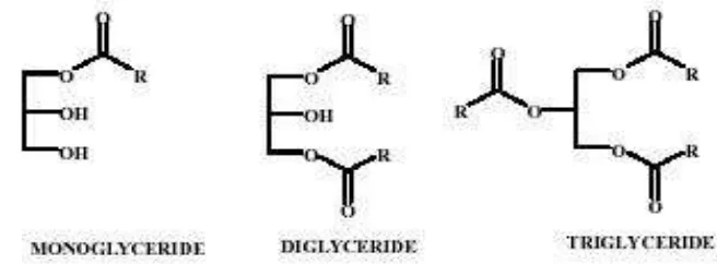 Gambar 2.  Struktur molekul monogliserida, digliserida, dan trigliserida (Sumber : Destiana
