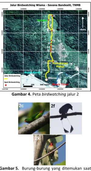 Gambar 4. Peta birdwatching jalur 2 