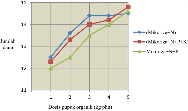 Gambar 1. Pengaruh mikoriza, pupuk anorganik, dan pupuk organik sampai 4 kg/phn                                           terhadap jumlah daun bibit kopi Robusta 