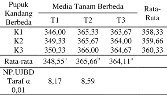 Tabel  5.    Rata-Rata  Berat  Buah  (gram)  pada  pemberian  berbagai  pupuk  kandang  yang  berbeda    dengan  penggunaan  media  tanam  yang berbeda 