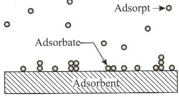Gambar 7. Mekanisme adsorpsi 