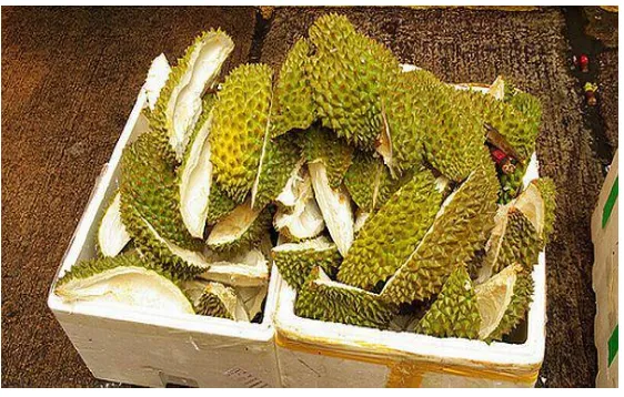 Gambar 8. Kulit Durian 