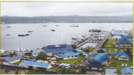 Gambar 1. Pelabuhan Perikanan Nusantara Ambon  3. 2. Sejarah Operasional 