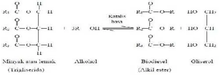 Gambar 4.(Sumber : Destiana. M, ITB 2007) Reaksi Transesterifikasi dari Trigliserida menjadi ester metil  asam –asam lemak