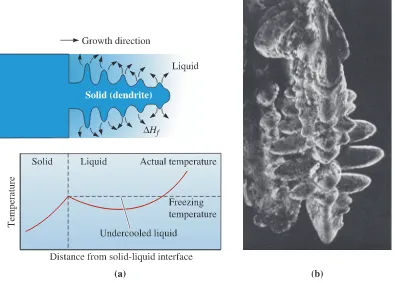 Figure 9-4(a) If the liquid is undercooled, a protuberance on the solid-liquid interface can grow rapidly as adendrite