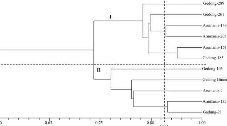 Gambar 2.   Dendogram 11 klon mangga menggunakan 30 marka mikrosatelit dengan metode pengelompokan  UPGMA (Dendrogram of 11 mango clones using 30 microsatellite markers with UPGM grouping  method) III0.500.630.75 0.88 1.000.90 Gedong-289Gedong-261Gadung-18
