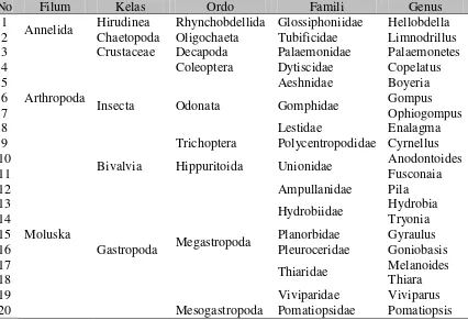 Tabel 3.1 Klasifikasi Makrozoobentos yang Diperoleh pada Setiap Lokasi Penelitian di Sungai Bah Bolon 