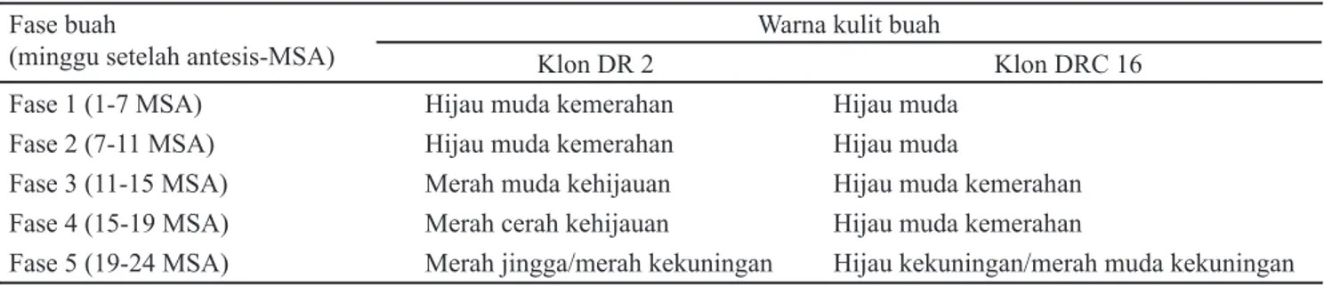 Tabel 4.  Persentase buah kakao sakit dan sehat setiap fase perkembangan pada klon DR 2 dan DRC 16 di Kebun Renteng,  Jember, Jawa Timur