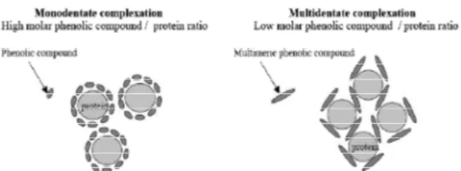 Gambar 1.  Mekanisme Monodantate dan Multidantate  (Balange, 2009).