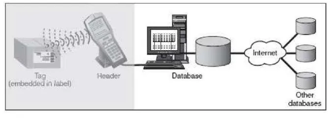 Gambar 2.4 Database 