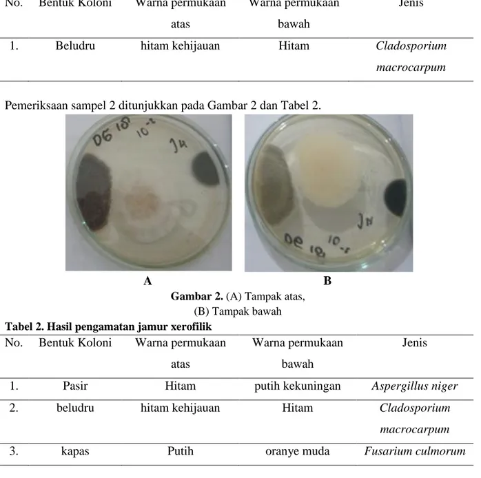 Tabel 1. Hasil pengamatan jamur xerofilik 