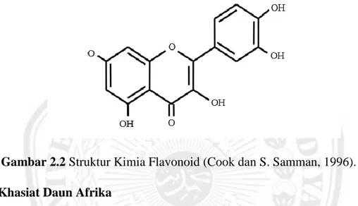 Gambar 2.2 Struktur Kimia Flavonoid (Cook dan S. Samman, 1996).  2.1.2 Khasiat Daun Afrika