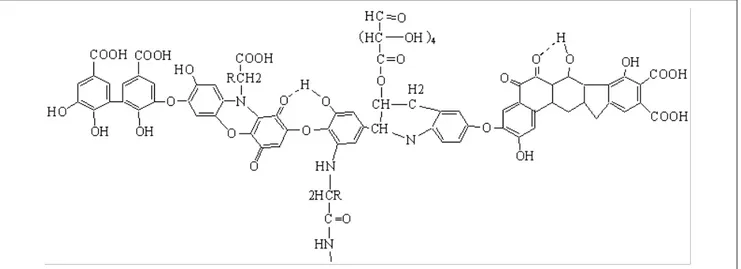 Gambar 1. Struktur hipotetik asam humat menurut Stevenson (Stevenson,1994)