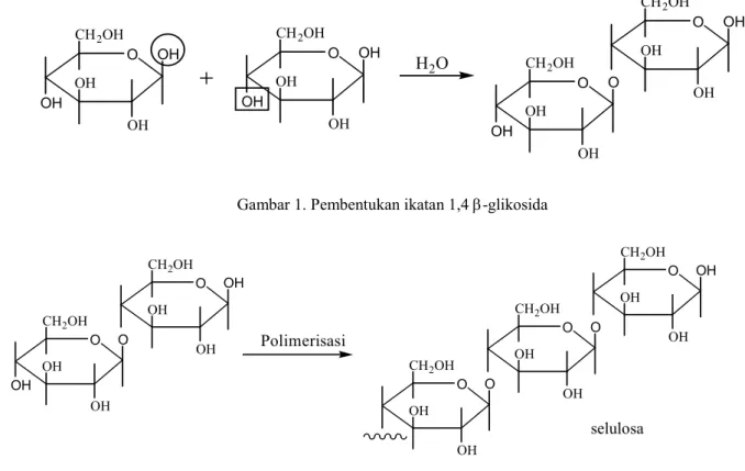 Gambar 1. Pembentukan ikatan 1,4 β-glikosida 