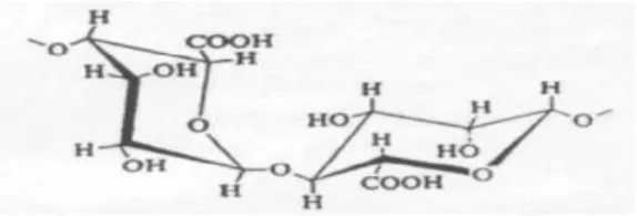 Gambar 4 Struktur alginat (Rasyid, 2005)  Dilihat  dari  strukturnya  alginat  berpotensi  cukup  besar  untuk  dijadikan  sebagai  penjerap  karena  gugus  hidroksil  dan  karboksil  yang  terikat  dapat  berinteraksi  dengan  komponen  adsorbat