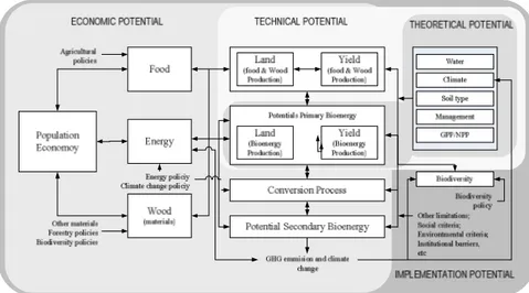 Gambar 1 Jenis Potensi Biomassa (Biomass Energy Europe. 2010a)  Pengukuran Potensi Energi Biomassa 