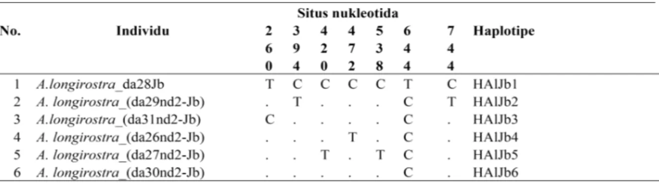 Tabel 1: Variasi dan situs substitusi nukleotida, serta haplotipe pada  A. longirostra di Jambi, Sumatera