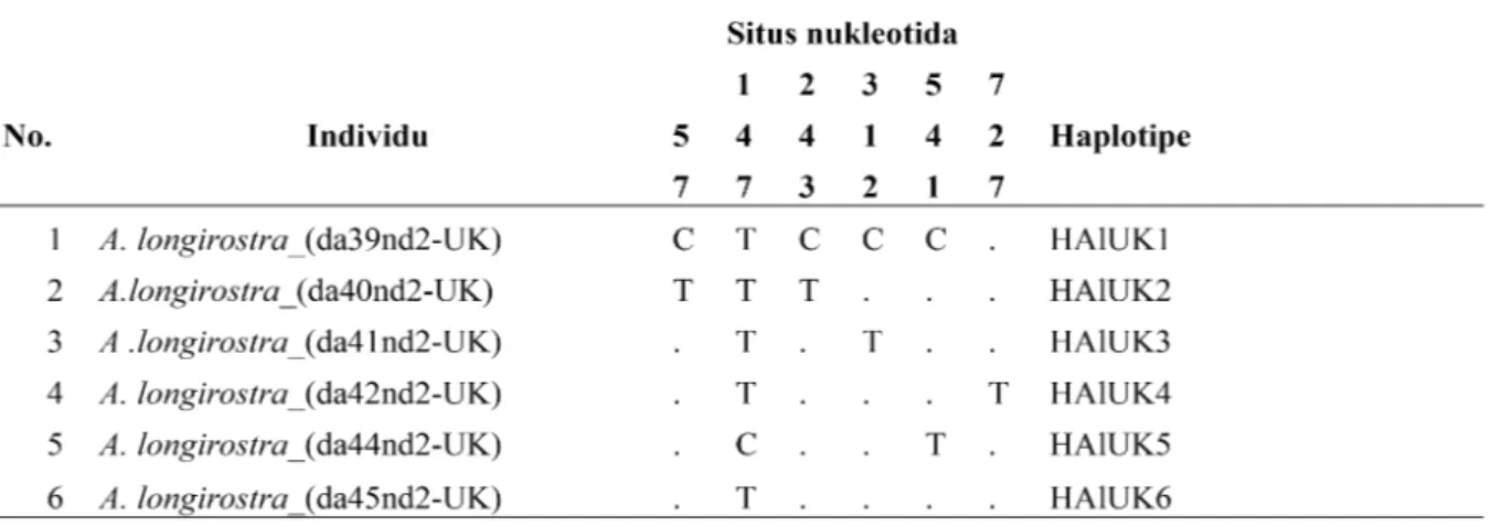 Tabel  3.  Variasi  dan  situs  nukleotida,  serta  haplotipe  pada  A.  longiristra  di  T.N.G