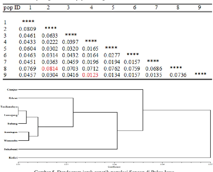 Tabel 5 Rata-rata jarak genetik antar populasi Sengon. 
