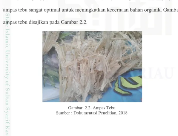 Tabel 2.1. Kandungan Nutrisi Ampas Tebu (%) 