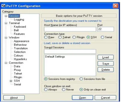 Gambar 2.6 Putty 