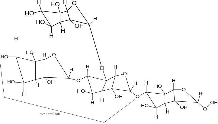 Gambar 3. Stuktur Amilopektin