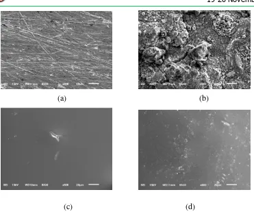 Gambar 3 Pengamatan Mikrostruktur permukaan baja karbon SS400 menggunakan 