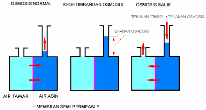 Gambar 4. Prinsip Dasar Membran Reverse Osmosis 