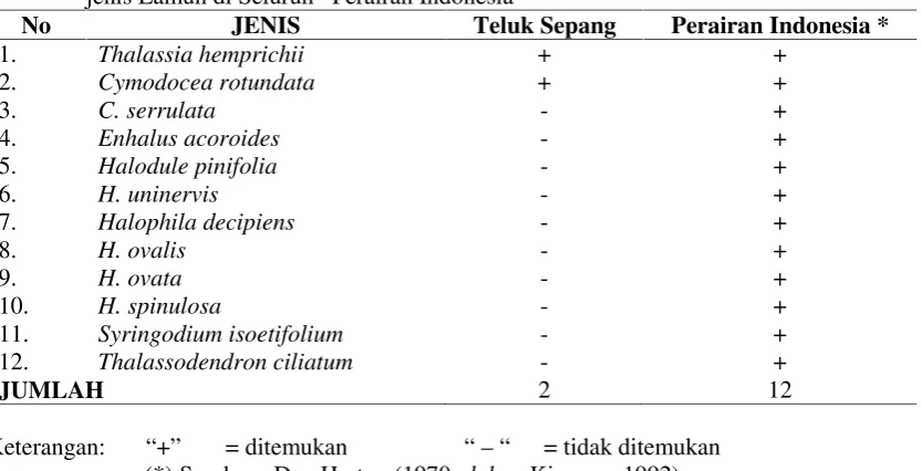 Tabel 1.Perbandingan Jumlah Jenis Lamun di Daerah Intertidal   Teluk Sepang dan Jumlahjenis Lamun di Seluruh   Perairan Indonesia