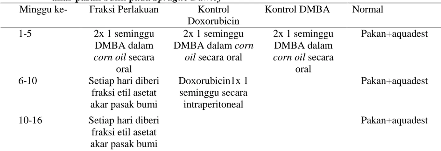 Tabel I. Waktu pemberian DMBA dan perlakuan kombinasi doxorubicin dan fraksi etil asetat  akar pasak bumi pada Sprague Dawley 