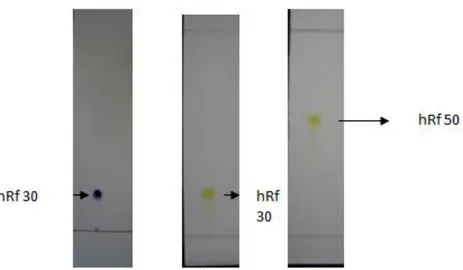 Gambar 5. Kromatogram hasil uji kemurnian dengan fase diam silika gel F 254  dan  variasi fase gerak 