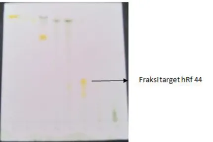Gambar  3.  Bercak  pada  kromatogram  hasil  fraksinasi  pengembangan  dengan  fase  gerak  wasbenzen  dan  kloroform  (1:  9  v/v),  fase  diam  silika  gel  F 254  setelah  disemprot dengan larutan DPPH 0,2 % 