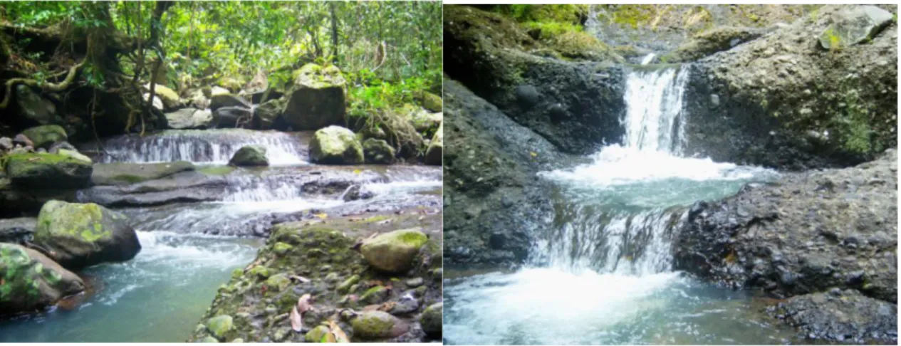 Gambar 4. Riam dengan terjunan kecil pada salah satu bagian dari Sungai Mahaka di Laboratorium Lapangan Konservasi Sumberdaya Hutan dan Ekowisata.