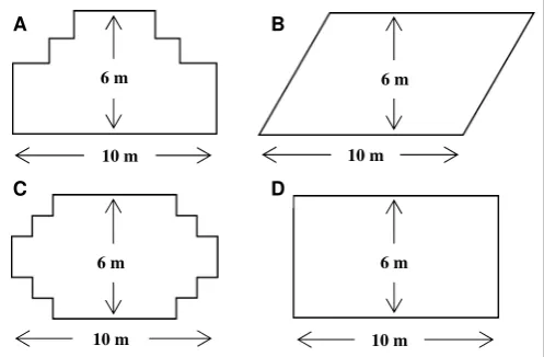 Figure 10. Illustrative item - Carp