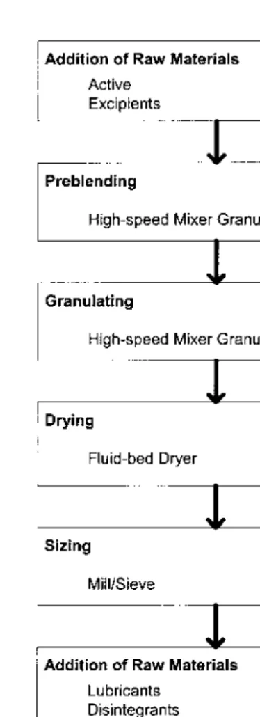 Figure 3Typical process flow—granulated product.