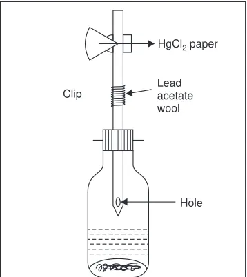 Figure 2 : Aresenic Limit Test Apparatus