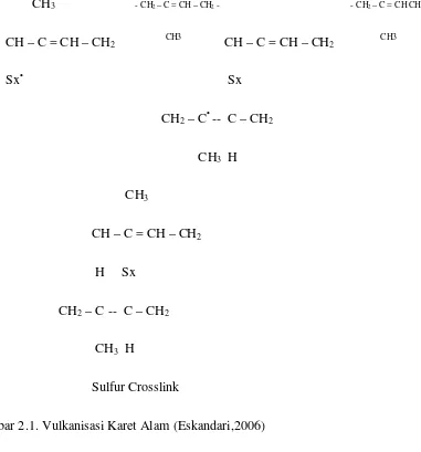 Gambar 2.1. Vulkanisasi Karet Alam (Eskandari,2006) 
