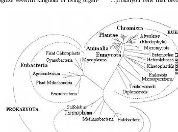 Figure 1.1Seven kingdoms of life and their possible phylogeny (after Patterson & Sogin 1992).