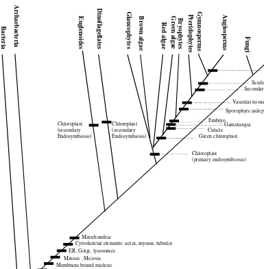 Figure 1.2Cladogram showing the evolution of major groups of organisms and the associatedapomorphies