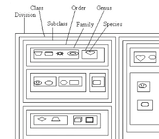 Figure 3.1Processes of assembling taxonomic groups according to the hierarchical system, de-picted by box-in-box method