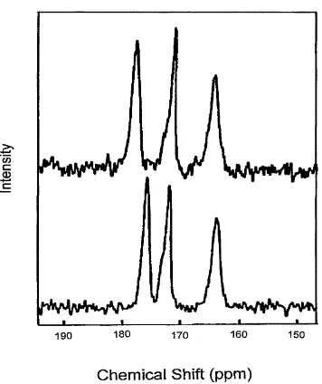 FIGURE 3Solid-state 13C-NMR spectra obtained within the carbonyl region of fosinopril sodium:upper trace, form A; lower trace, form B