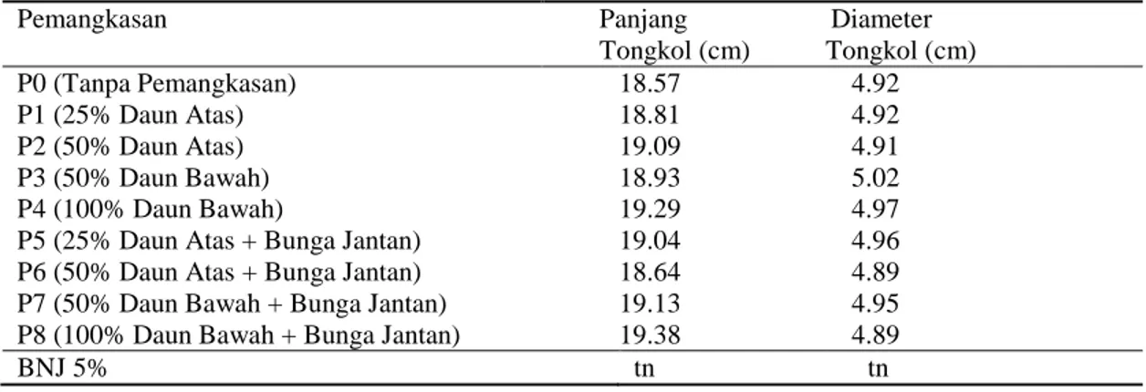 Tabel 5. Rata-rata panjang  dan diameter tongkol jagung akibat perlakuan pemangkasan daun dan bunga  jantan 